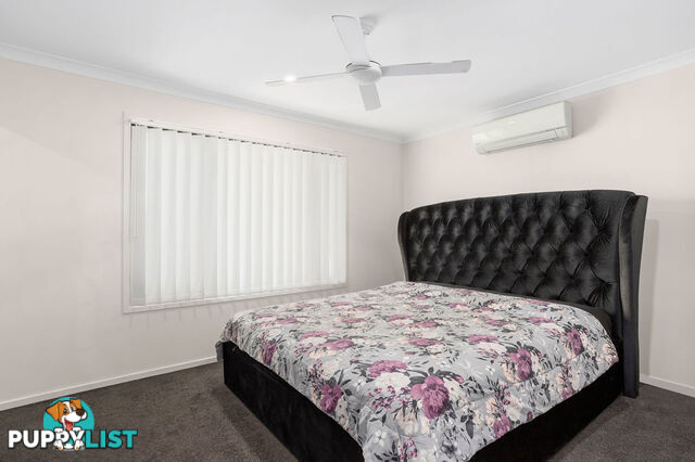 31/21 Springfield Parkway SPRINGFIELD QLD 4300