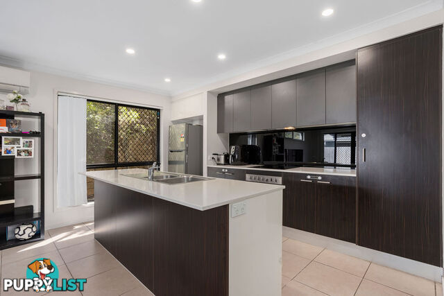 31/21 Springfield Parkway SPRINGFIELD QLD 4300