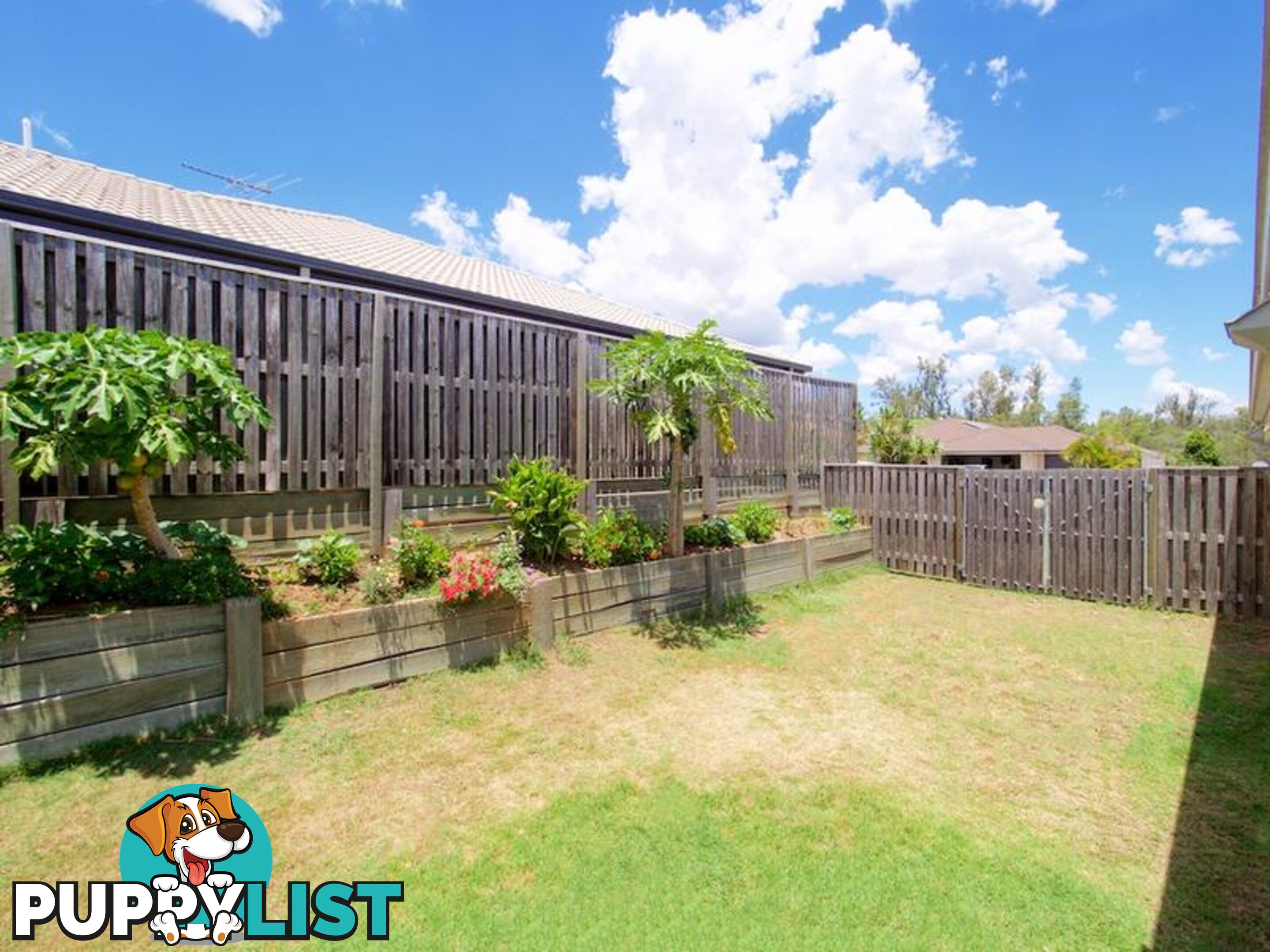 5 WILLOWOOD PLACE FERNVALE QLD 4306