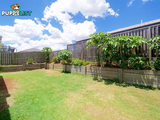 5 WILLOWOOD PLACE FERNVALE QLD 4306