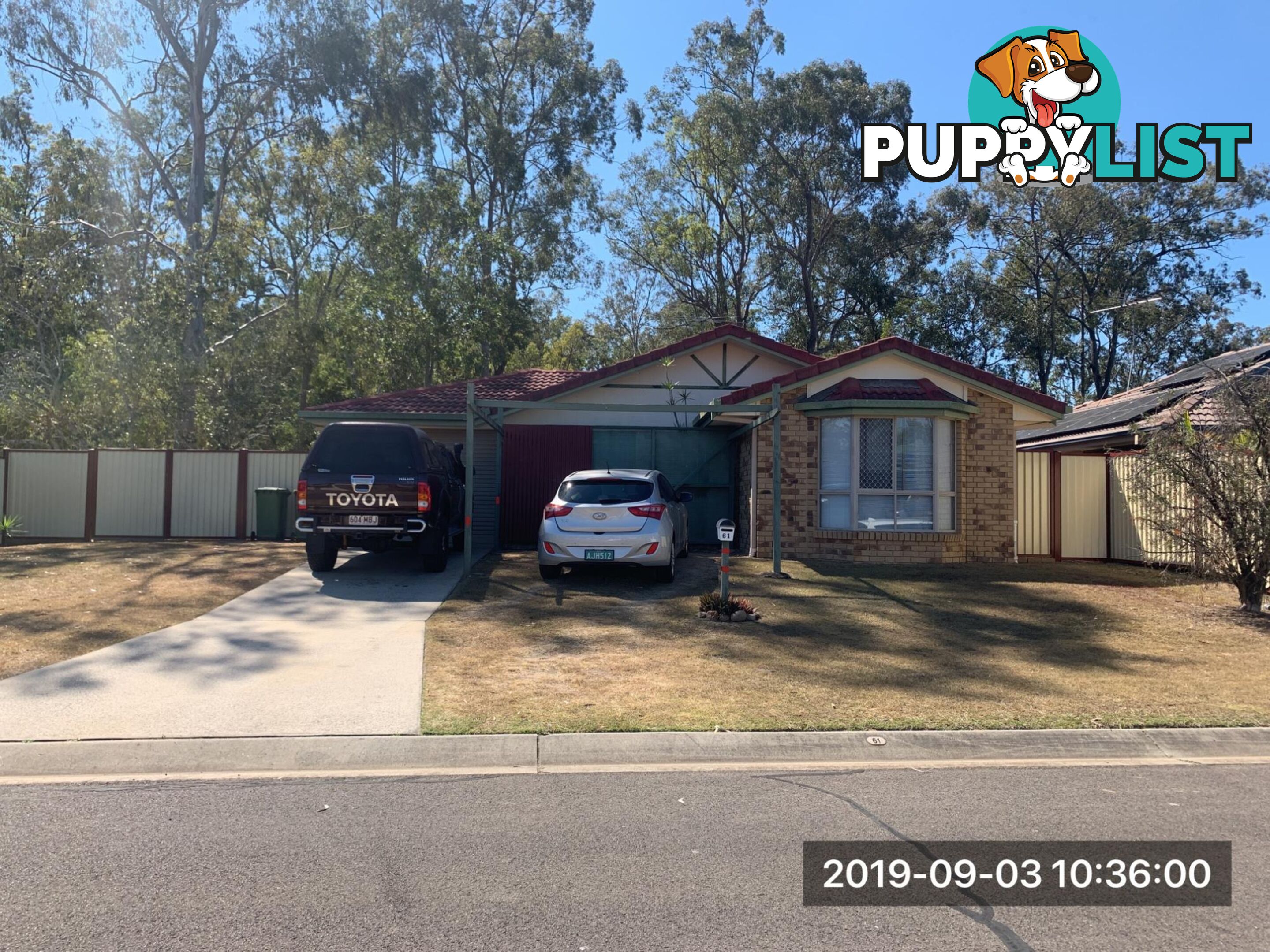 61 Caribou Drive BRASSALL QLD 4305