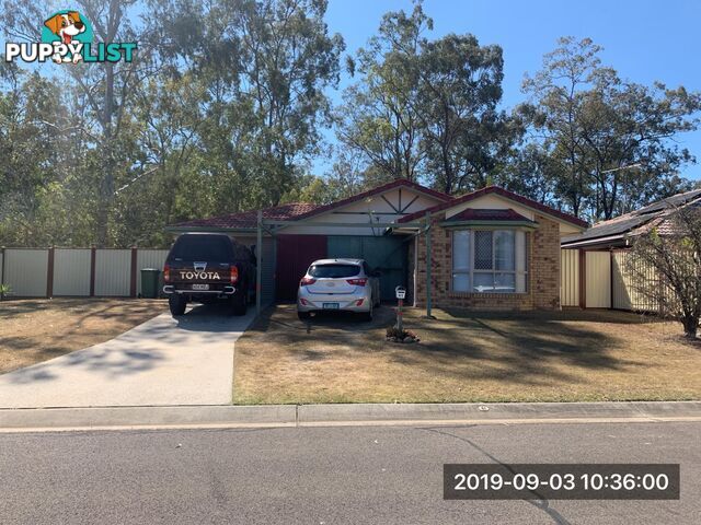 61 Caribou Drive BRASSALL QLD 4305