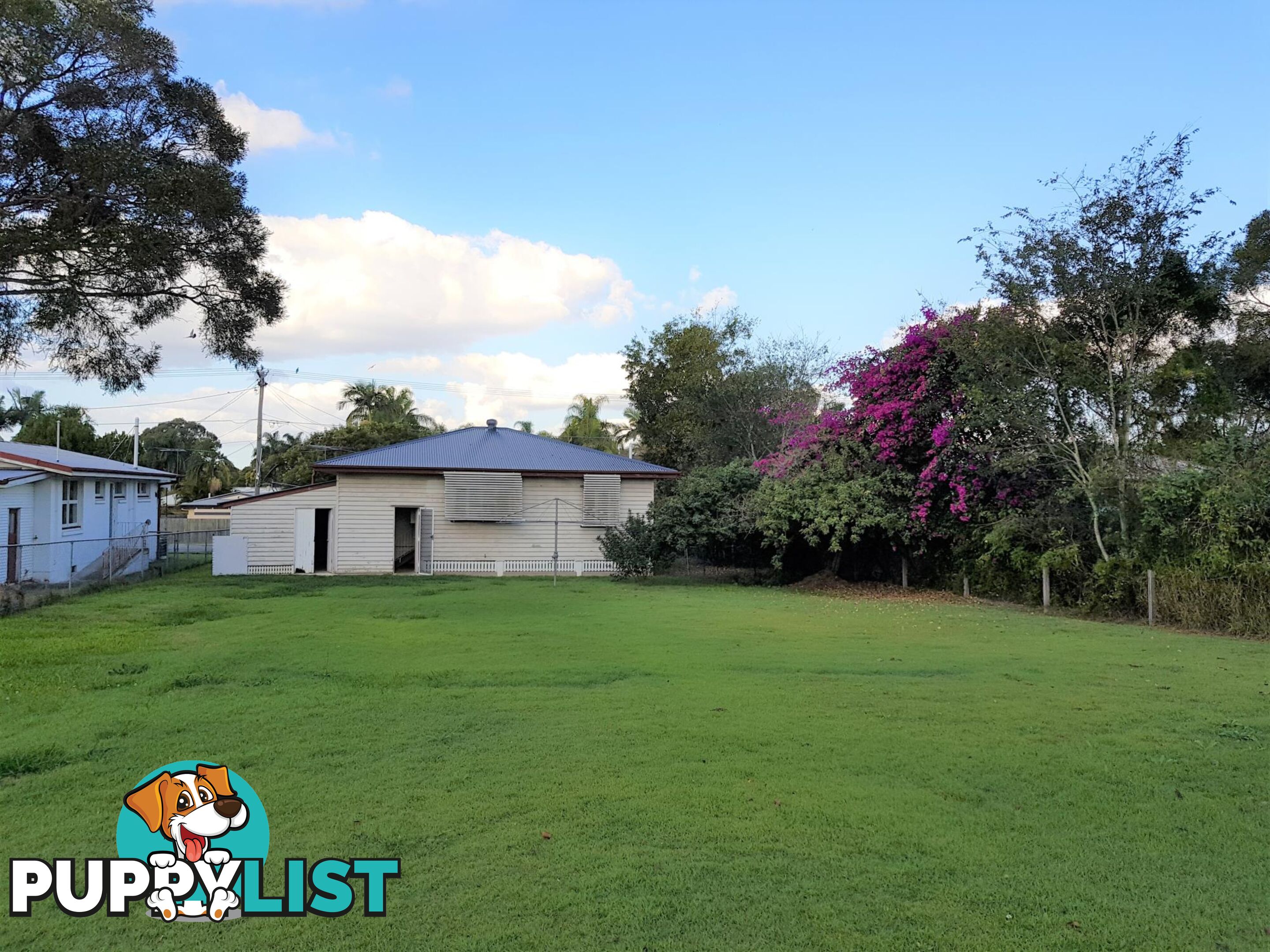 53 Vogel Road BRASSALL QLD 4305