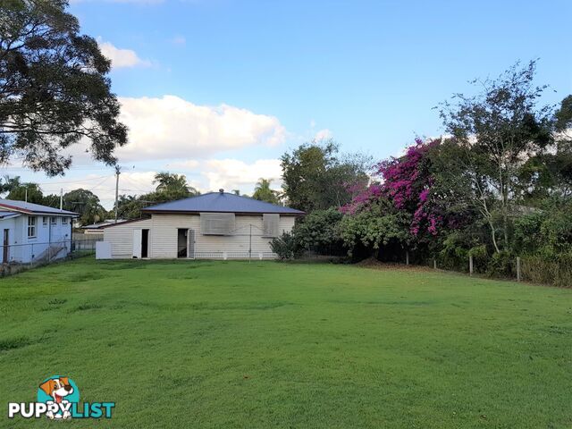 53 Vogel Road BRASSALL QLD 4305