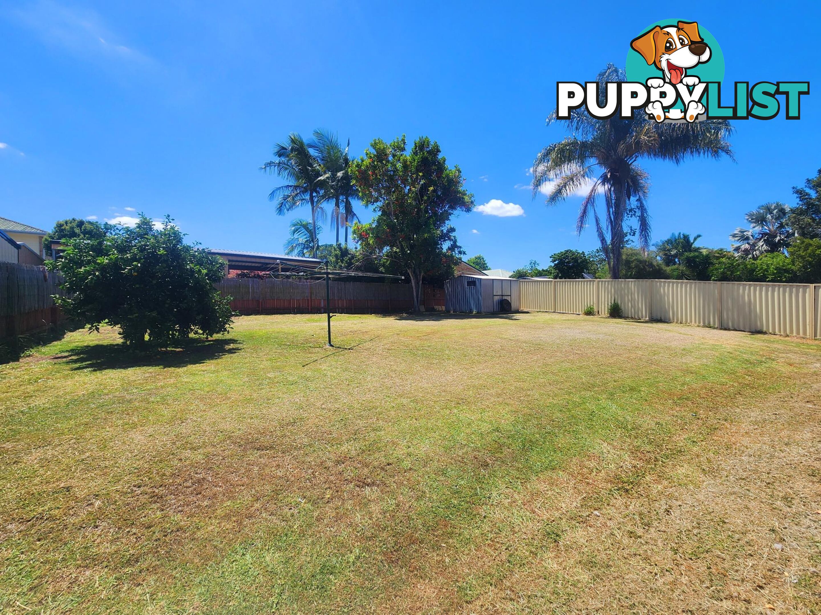 28 Reif Street FLINDERS VIEW QLD 4305