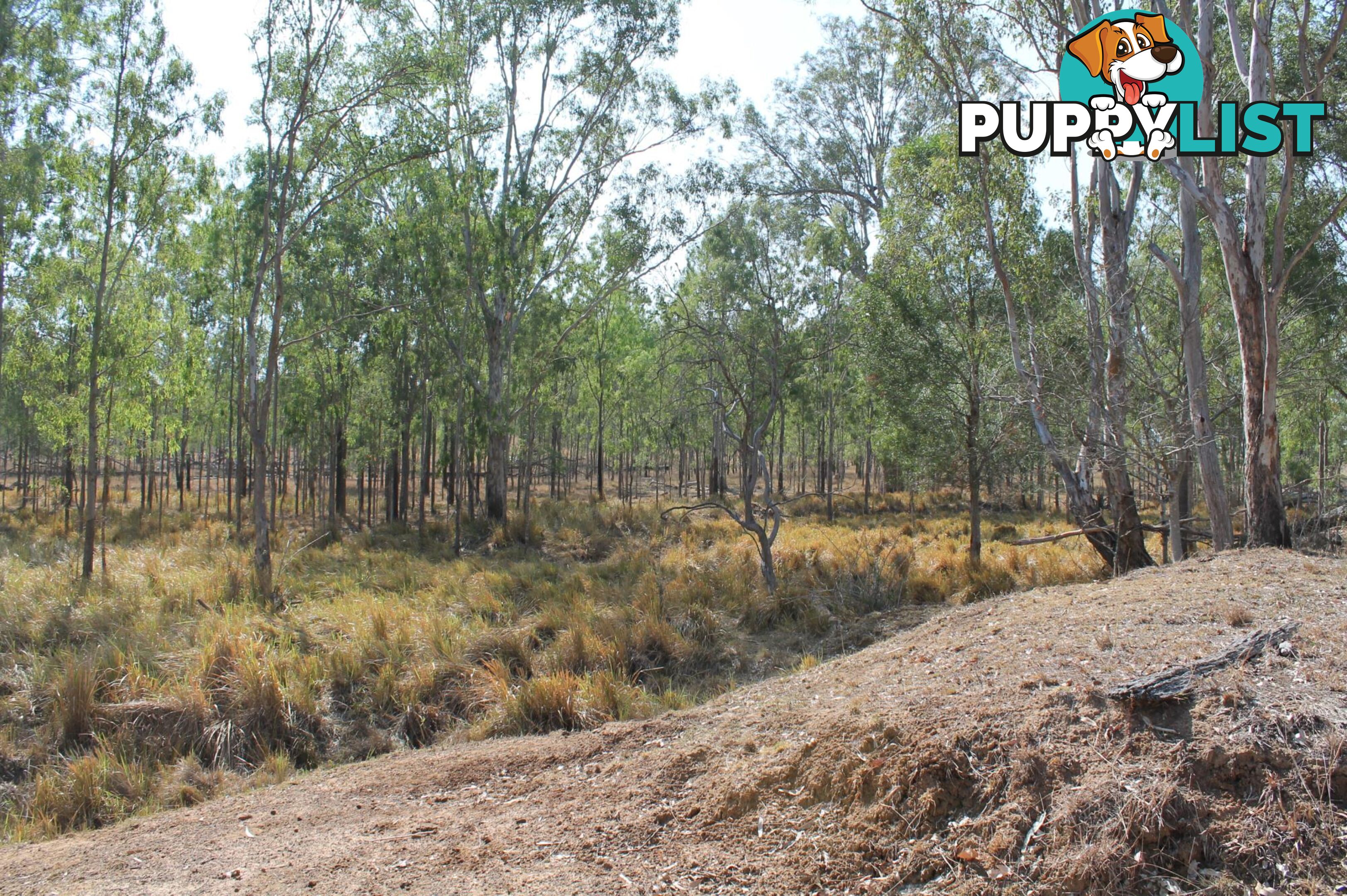 Lot 122 Prenzler Rd SILVERDALE QLD 4307