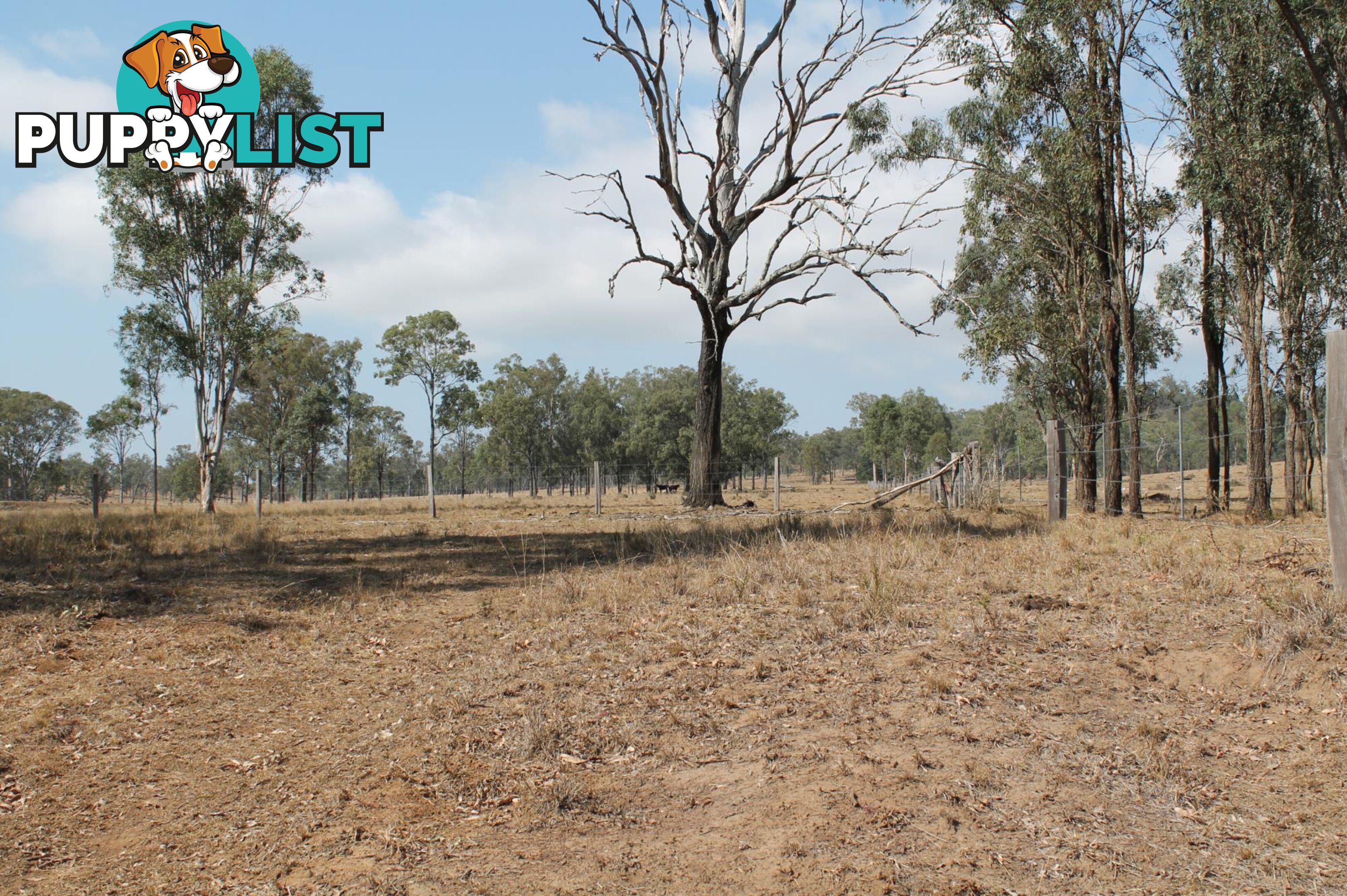 Lot 122 Prenzler Rd SILVERDALE QLD 4307