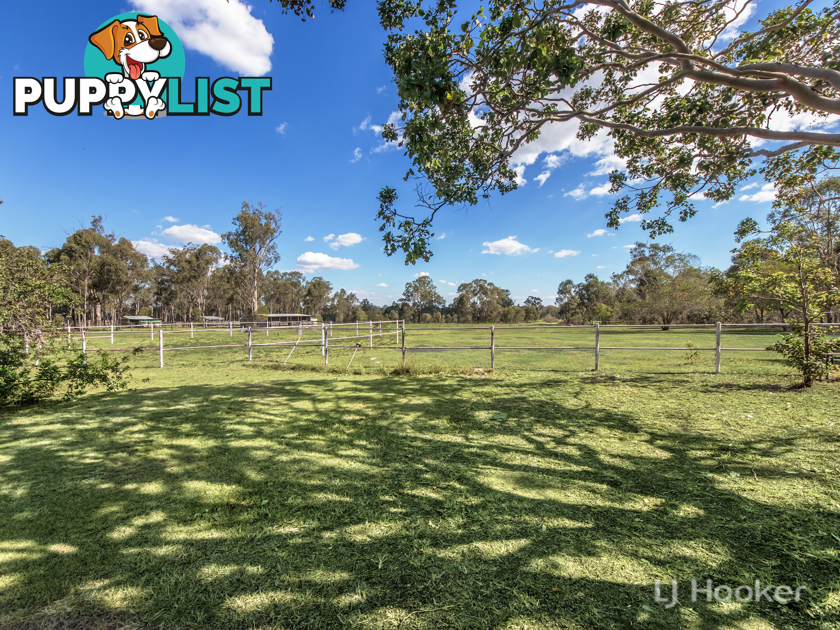 60 Caledonian Road THAGOONA QLD 4306