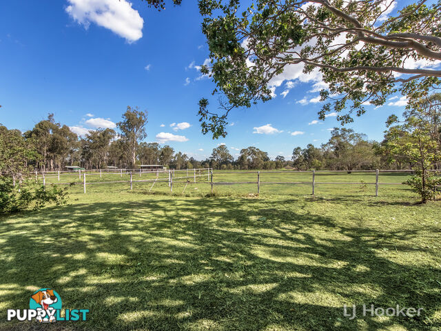 60 Caledonian Road THAGOONA QLD 4306