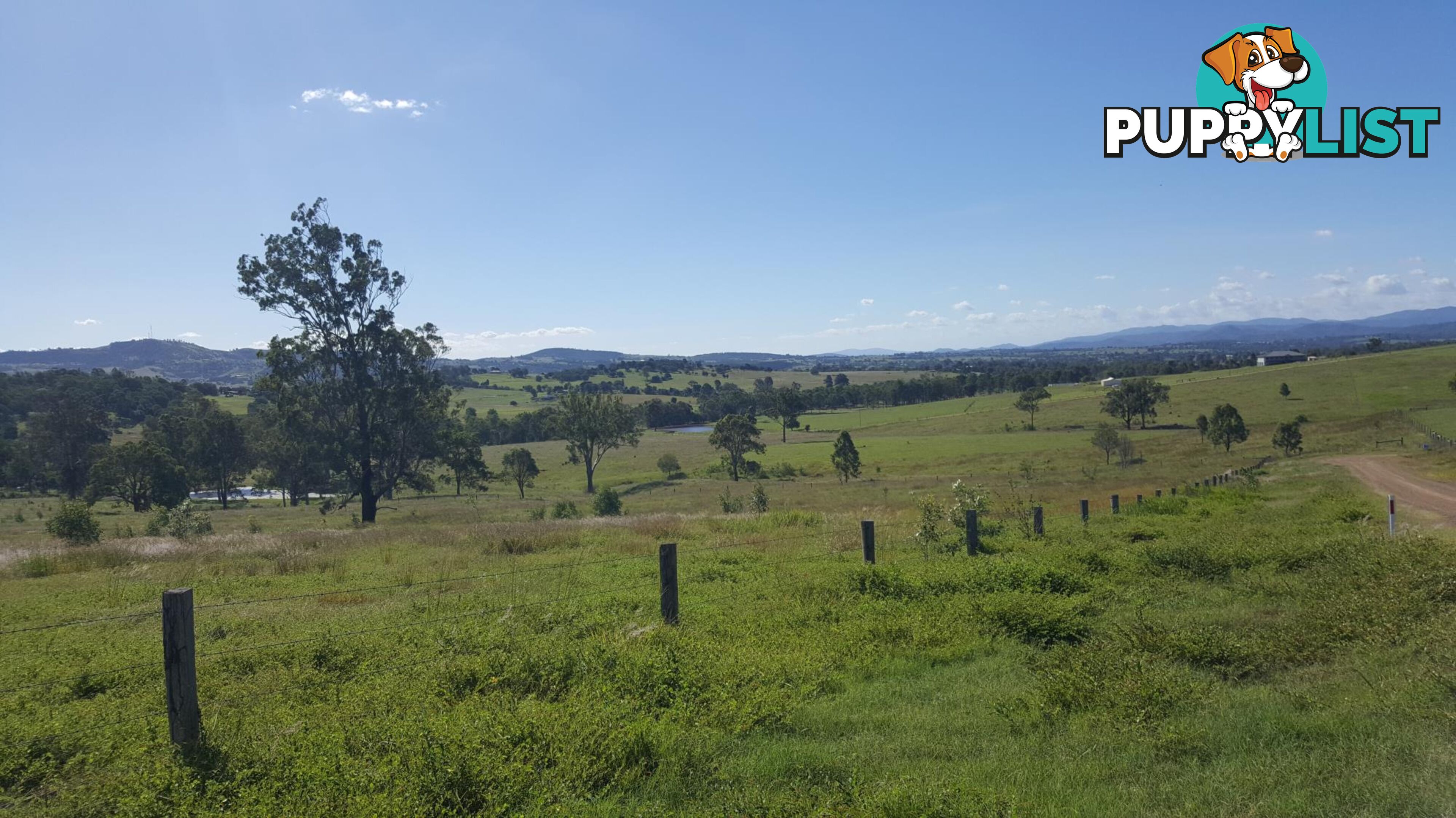 Lot 3 Claus Road HAIGSLEA QLD 4306