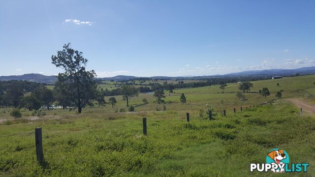 Lot 3 Claus Road HAIGSLEA QLD 4306