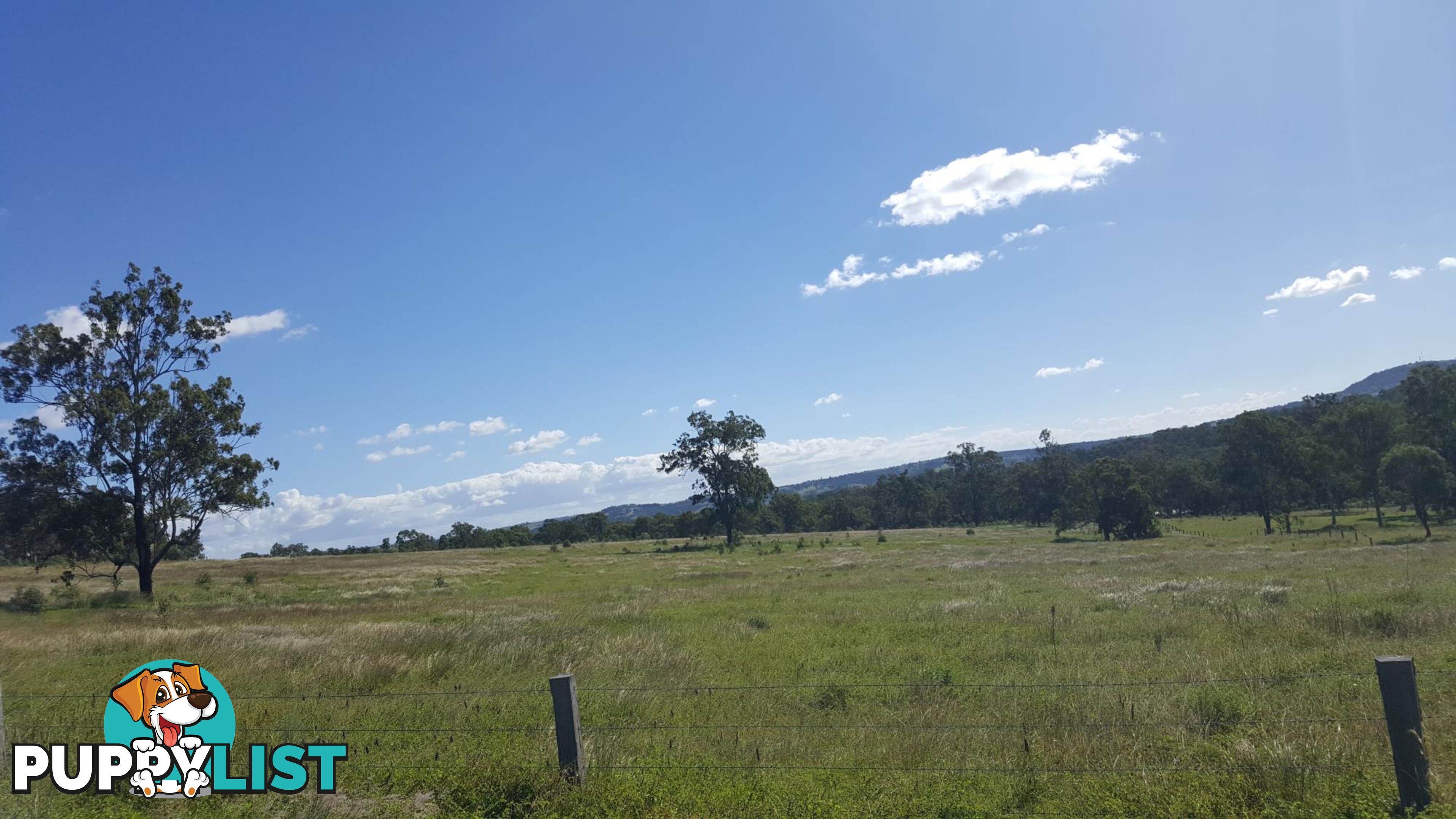 Lot 3 Claus Road HAIGSLEA QLD 4306