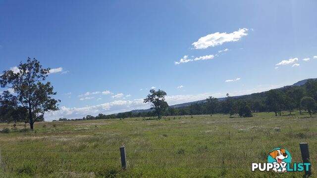 Lot 3 Claus Road HAIGSLEA QLD 4306