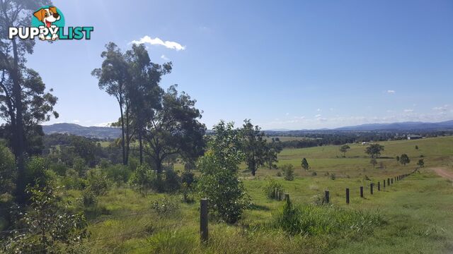 Lot 3 Claus Road HAIGSLEA QLD 4306