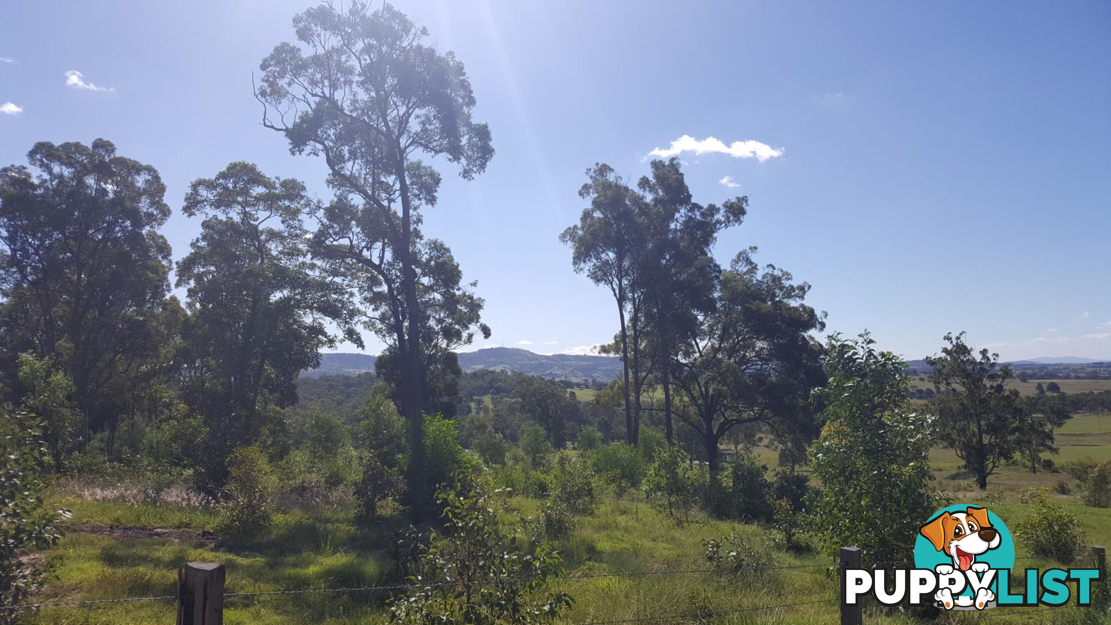 Lot 3 Claus Road HAIGSLEA QLD 4306