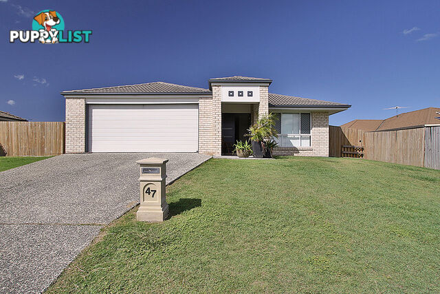 47 Banksia Drive RACEVIEW QLD 4305