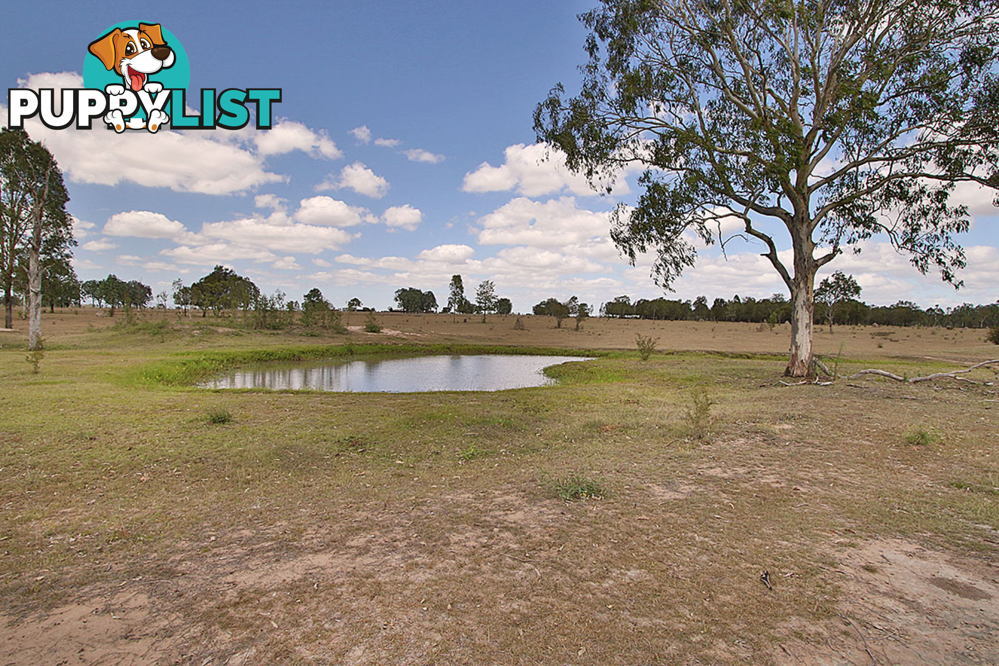 168 Mahons Road COOMINYA QLD 4311