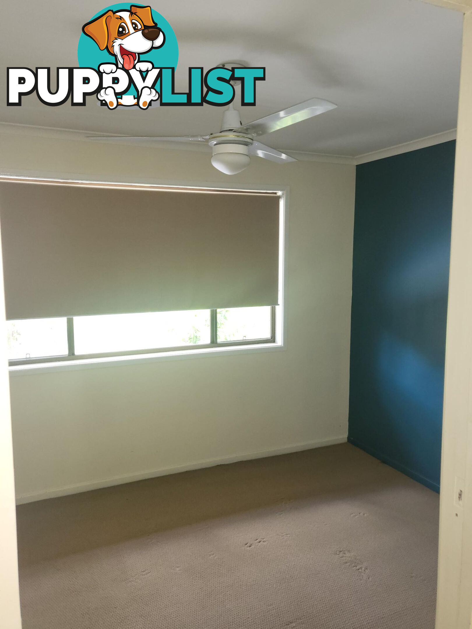 250 Fernvale Road BRASSALL QLD 4305