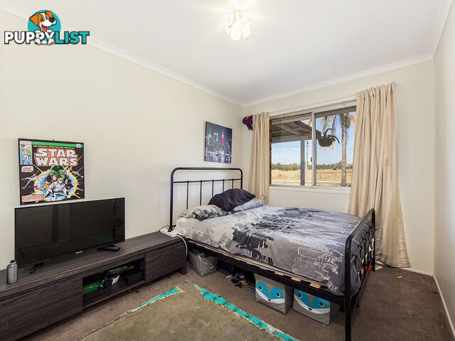 33 Bell St WALLOON QLD 4306