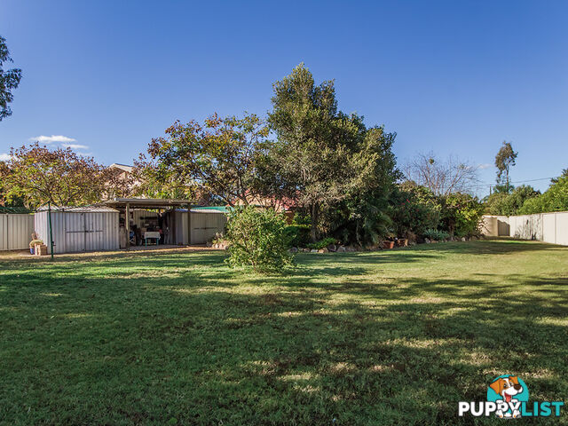 4 Macadamia ct WALLOON QLD 4306