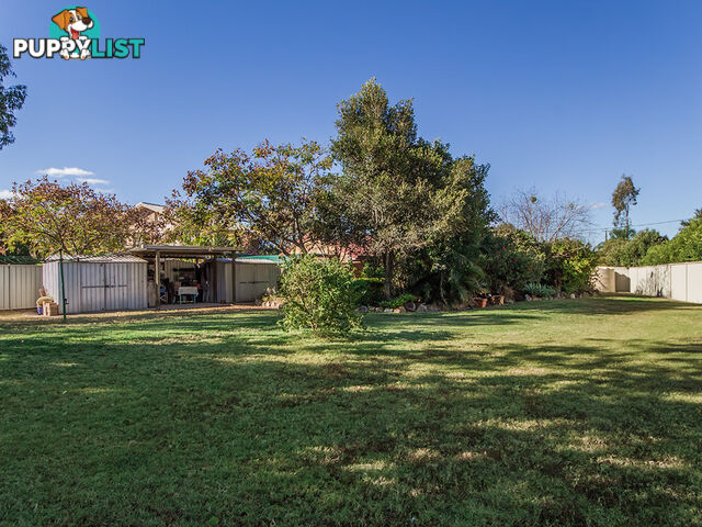 4 Macadamia ct WALLOON QLD 4306