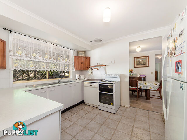 4 Macadamia ct WALLOON QLD 4306