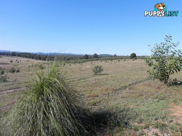 Lot 217, 6 Tatham Road HAIGSLEA QLD 4306