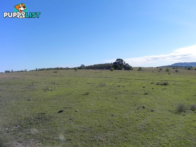 Lot 217, 6 Tatham Road HAIGSLEA QLD 4306