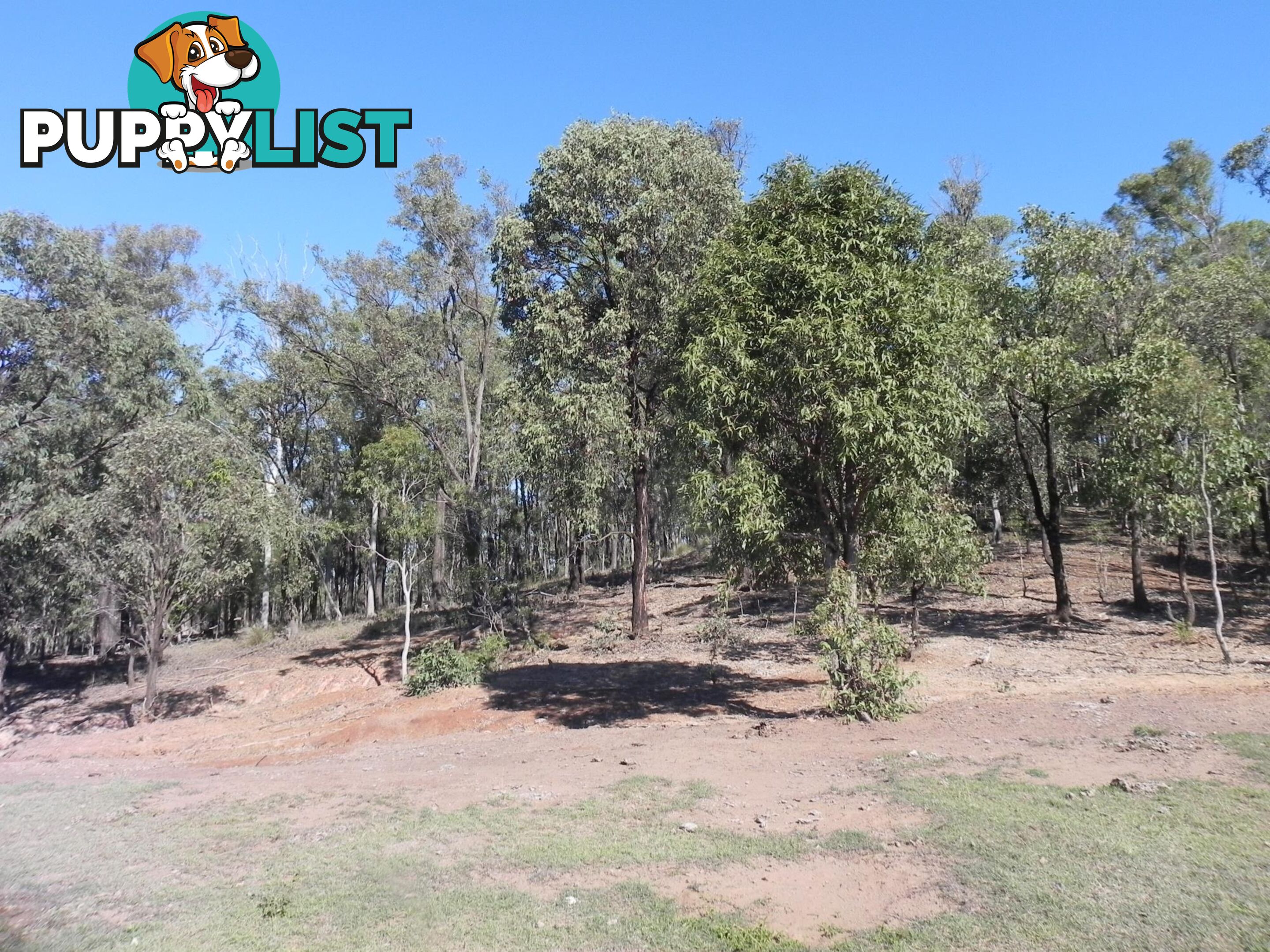 Lot 217, 6 Tatham Road HAIGSLEA QLD 4306