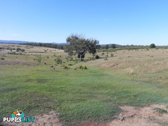 Lot 217, 6 Tatham Road HAIGSLEA QLD 4306