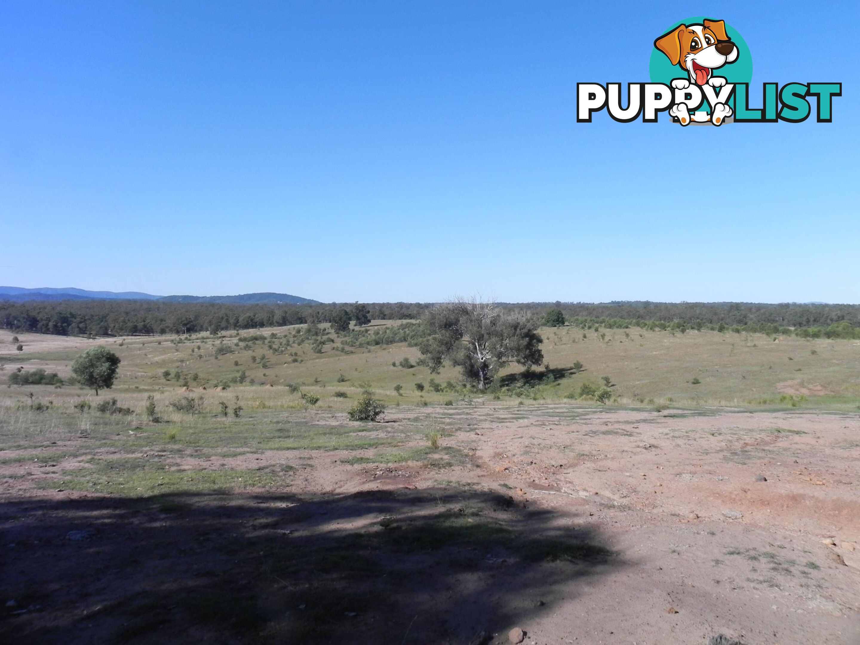 Lot 217, 6 Tatham Road HAIGSLEA QLD 4306