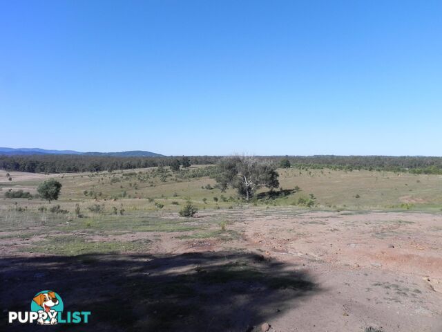 Lot 217, 6 Tatham Road HAIGSLEA QLD 4306