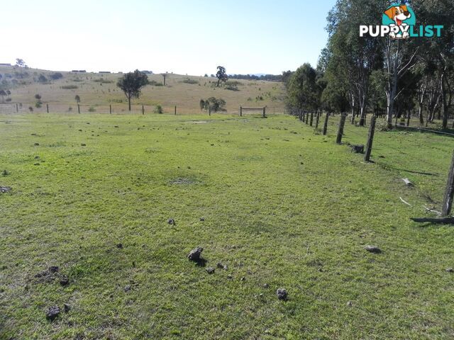 Lot 217, 6 Tatham Road HAIGSLEA QLD 4306