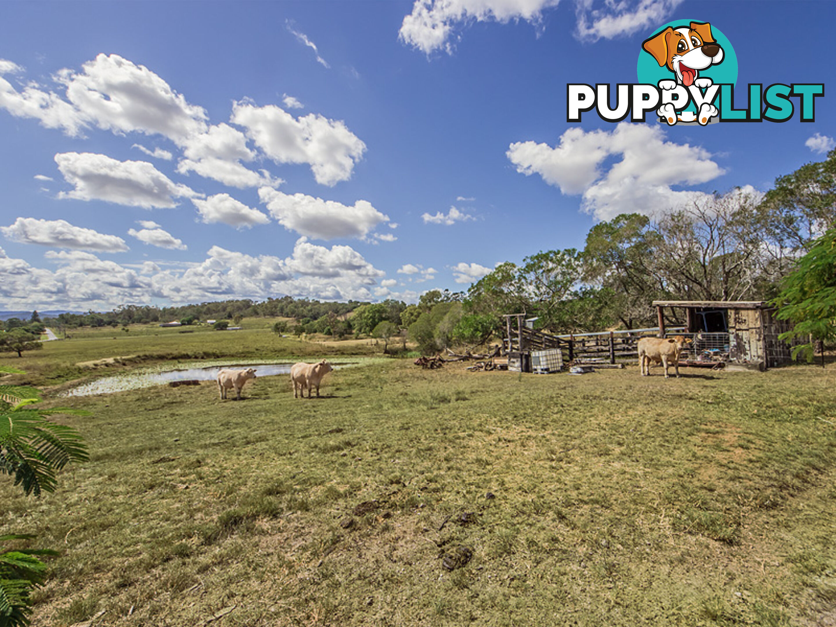 15 MUCKERTS LANE VERNOR QLD 4306