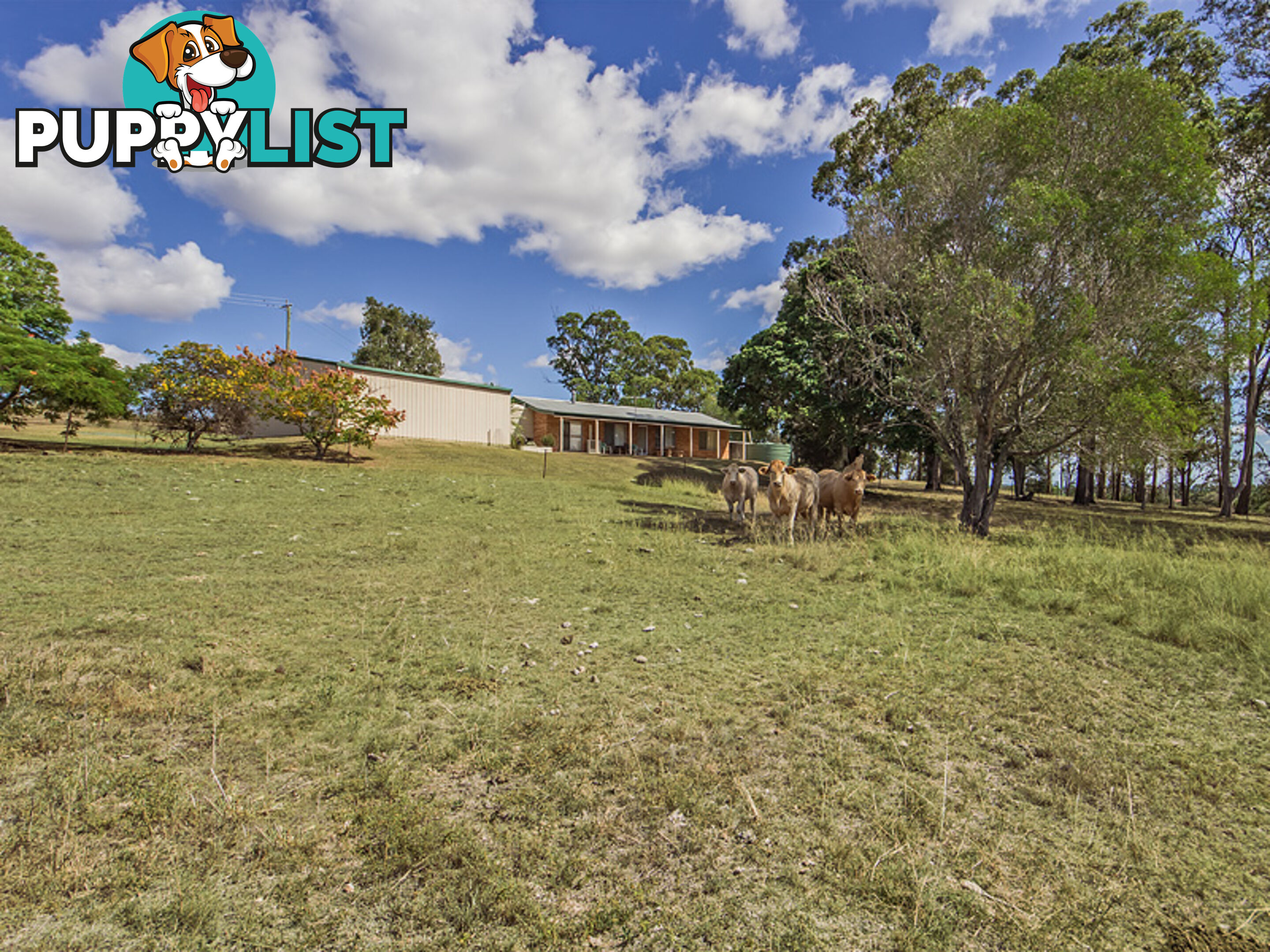 15 MUCKERTS LANE VERNOR QLD 4306