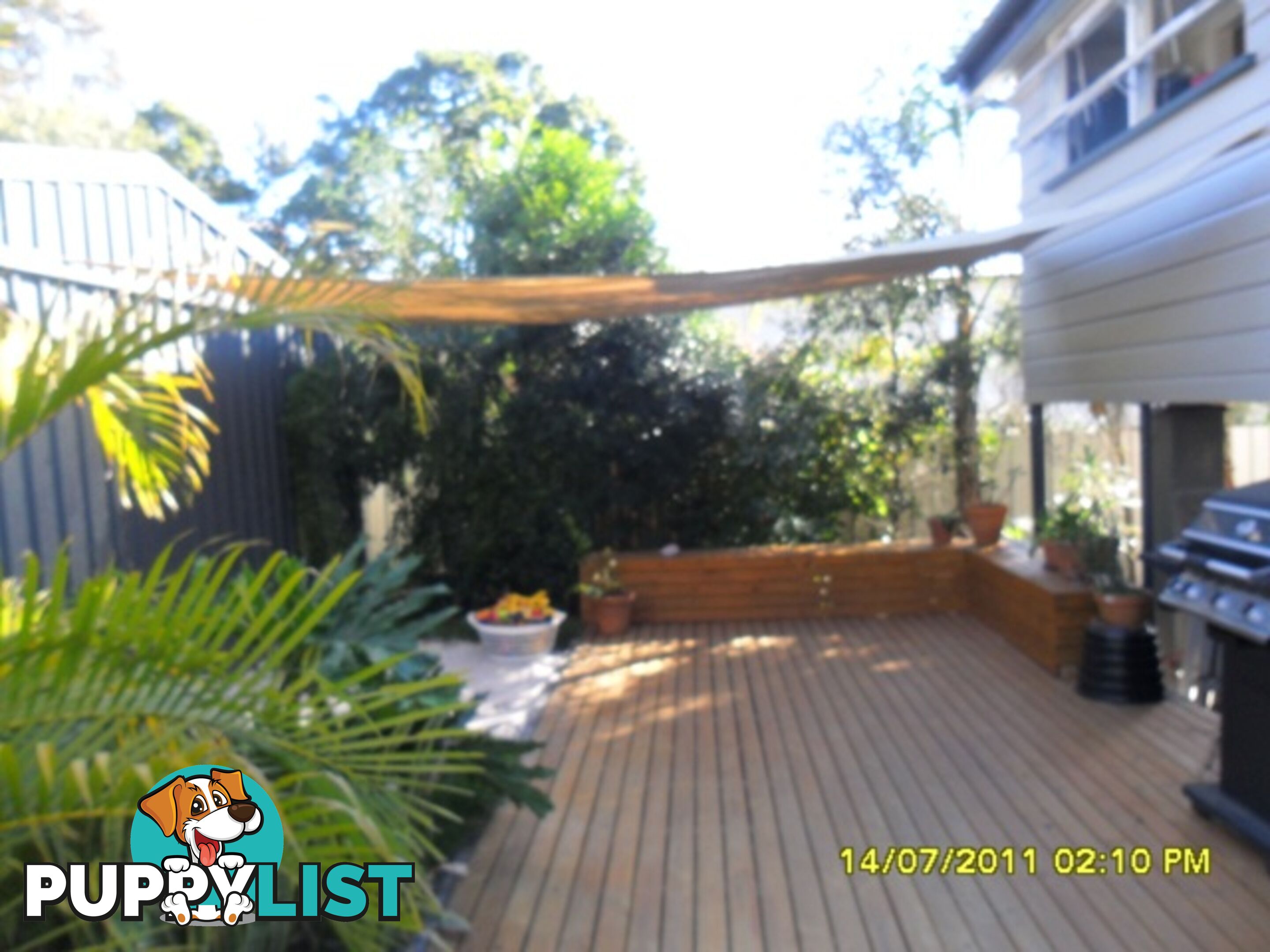 19 Salisbury Road IPSWICH QLD 4305