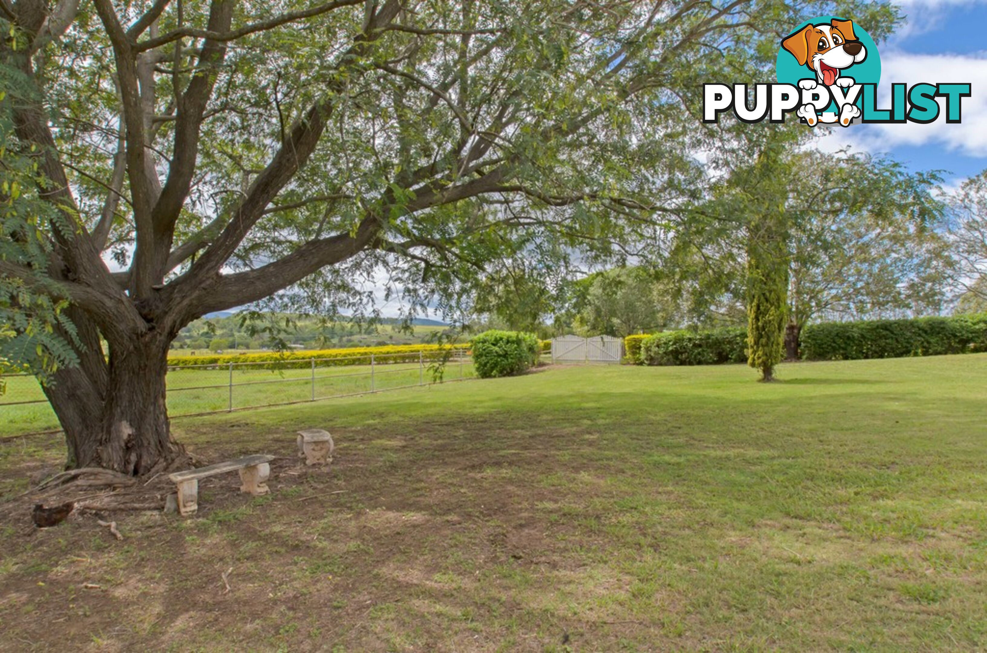 117 Retschlags Rd HAIGSLEA QLD 4306