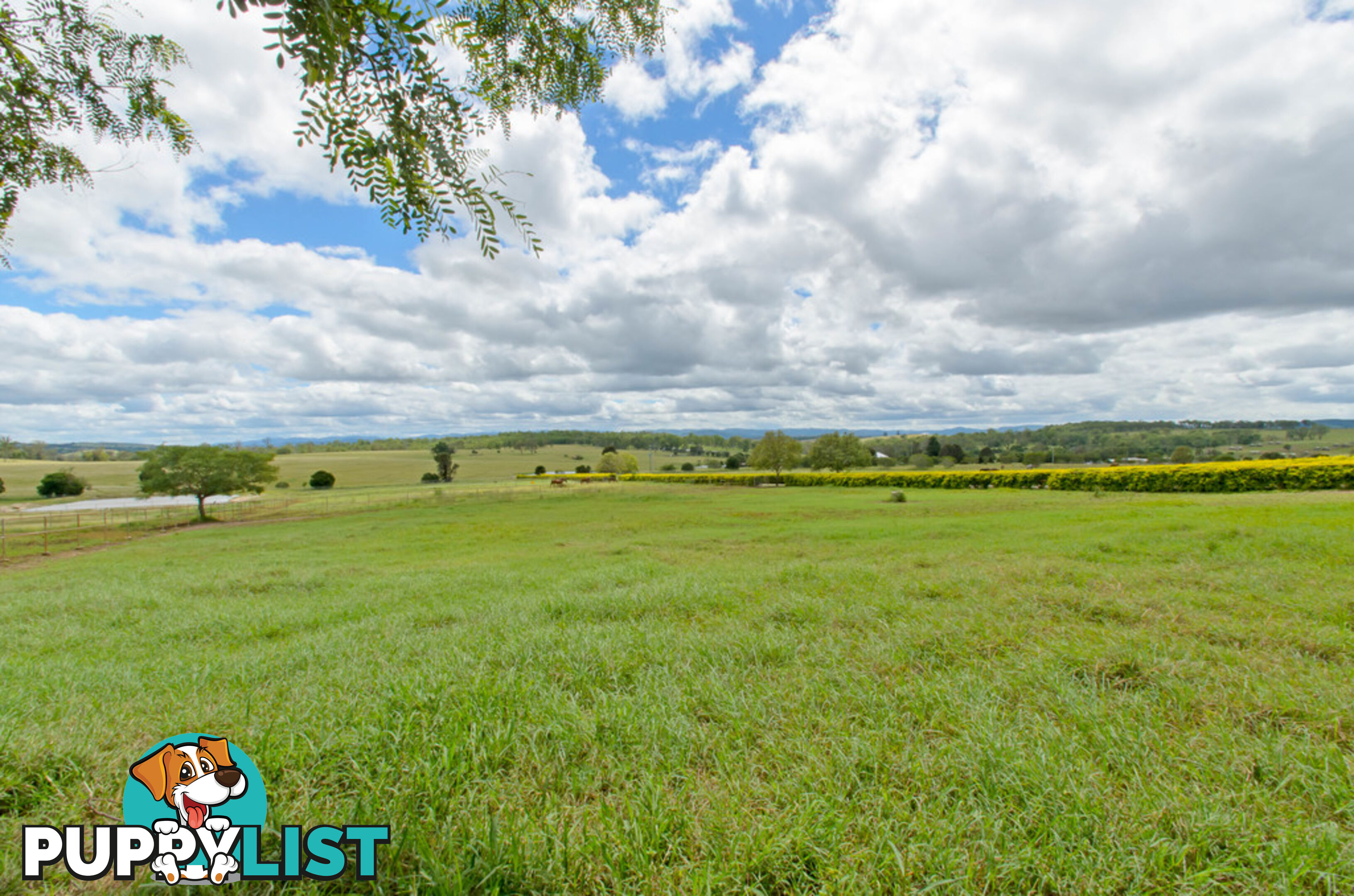 117 Retschlags Rd HAIGSLEA QLD 4306