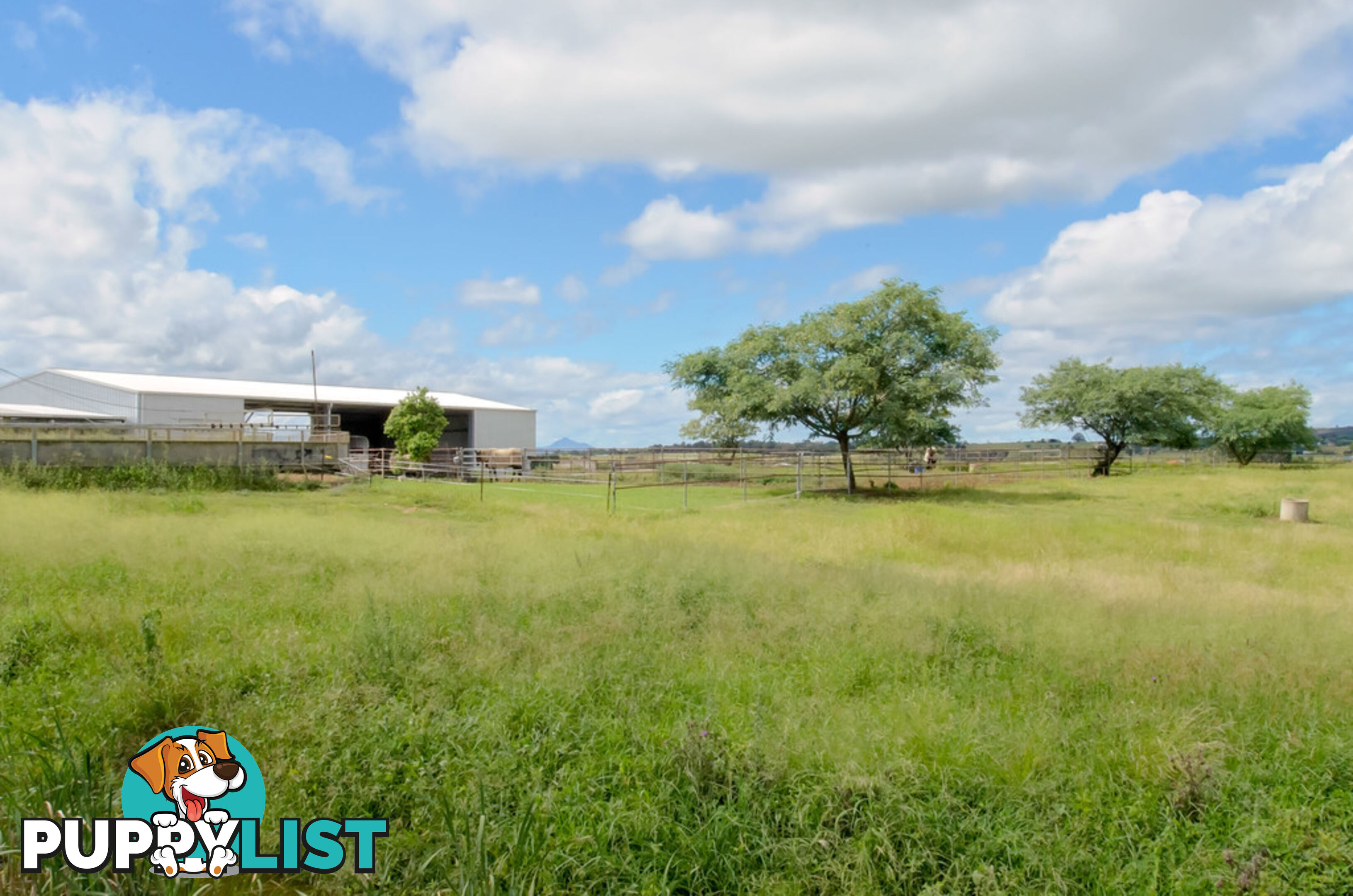 117 Retschlags Rd HAIGSLEA QLD 4306