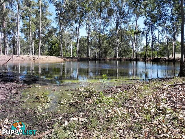 39 LAKE STREET ATKINSONS DAM QLD 4311