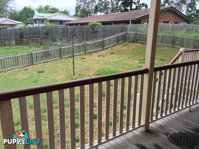 11 Chalmers Place NORTH IPSWICH QLD 4305