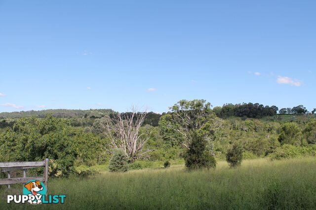 Lot 1 Rosewood Marburg Rd (Tallegalla Rd) TALLEGALLA QLD 4340