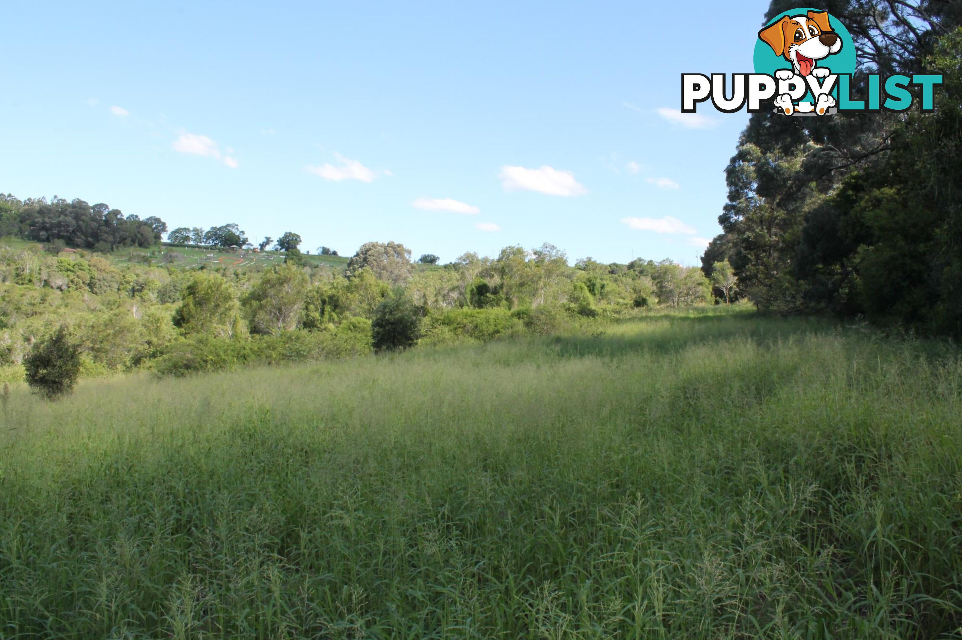 Lot 1 Rosewood Marburg Rd (Tallegalla Rd) TALLEGALLA QLD 4340