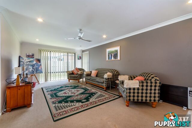 20 Pitkin Avenue Bellmere QLD 4510