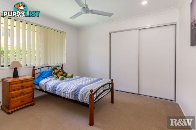 20 Pitkin Avenue Bellmere QLD 4510