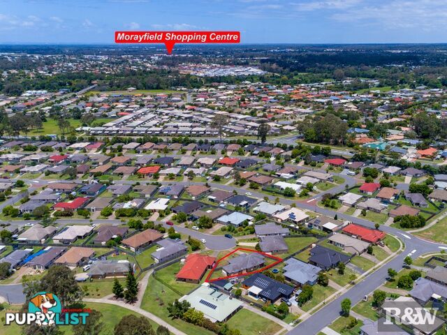 16 Rhiannon Court Bellmere QLD 4510