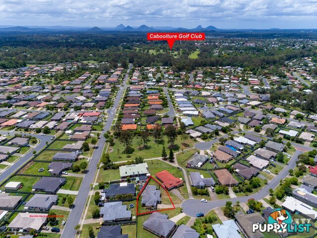 16 Rhiannon Court Bellmere QLD 4510