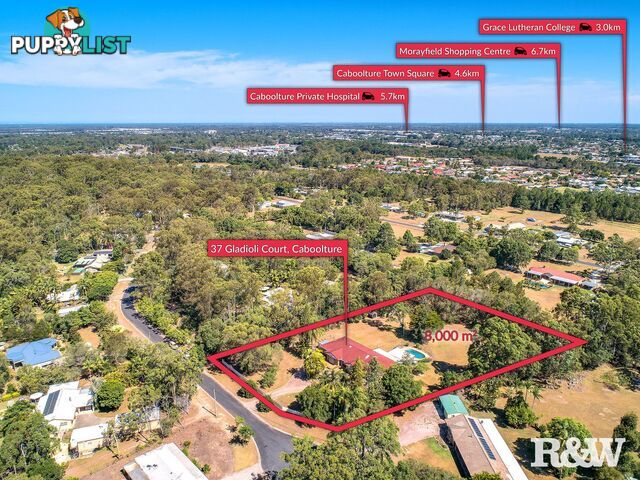 37 Gladioli Court Caboolture QLD 4510