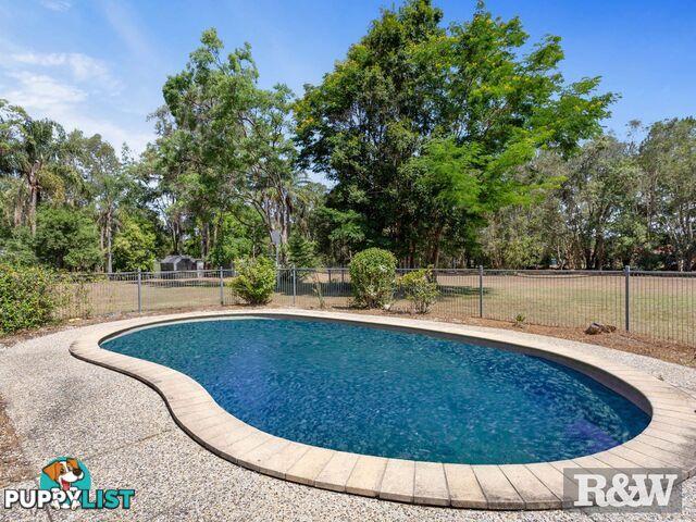 37 Gladioli Court Caboolture QLD 4510