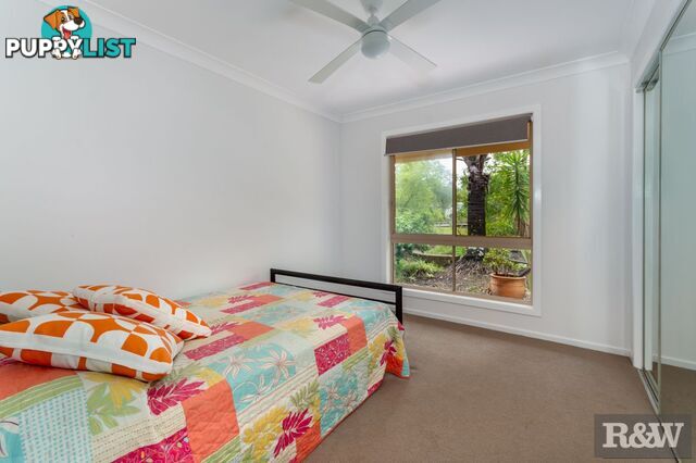 119 Riflebird Drive Upper Caboolture QLD 4510